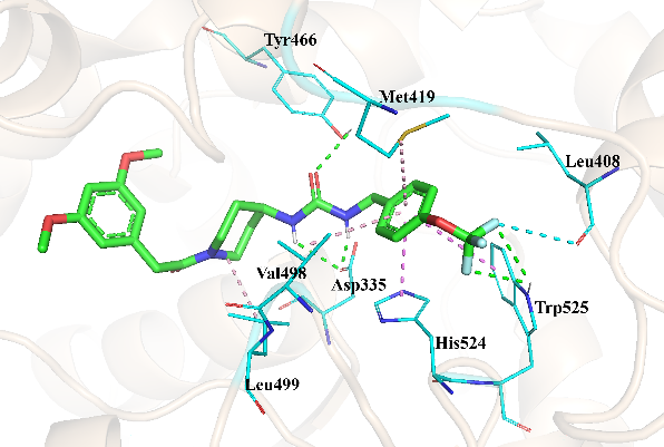 新澳门六合彩直播
