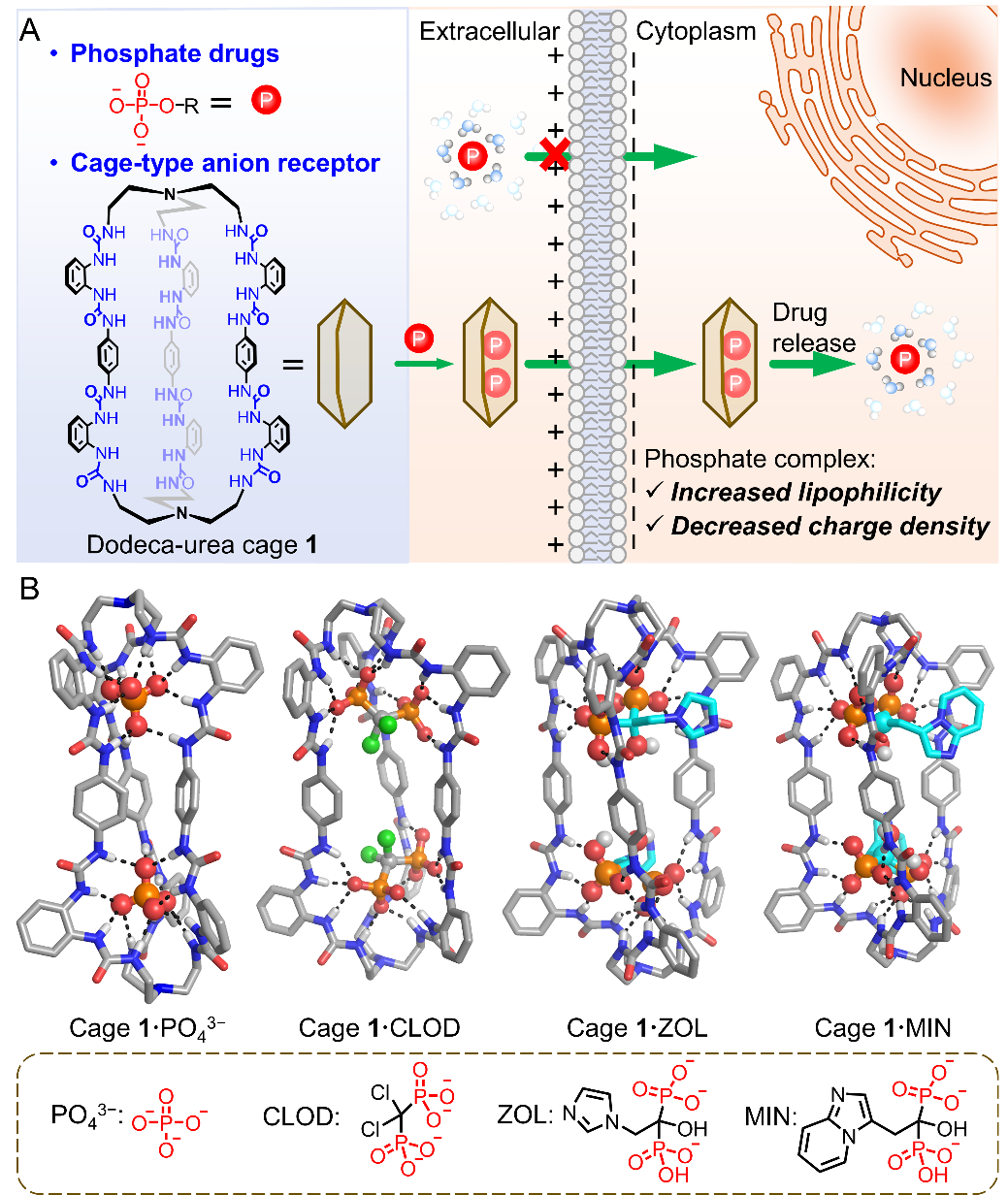 新澳门六合彩直播