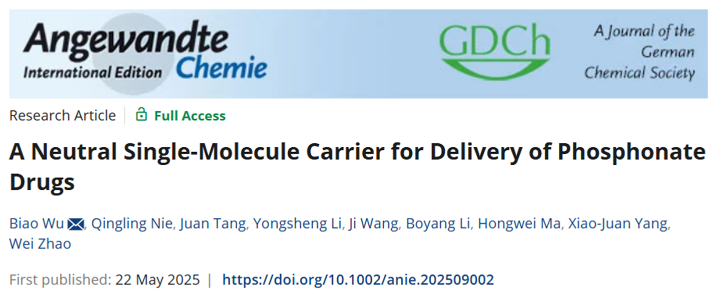 新澳门六合彩直播