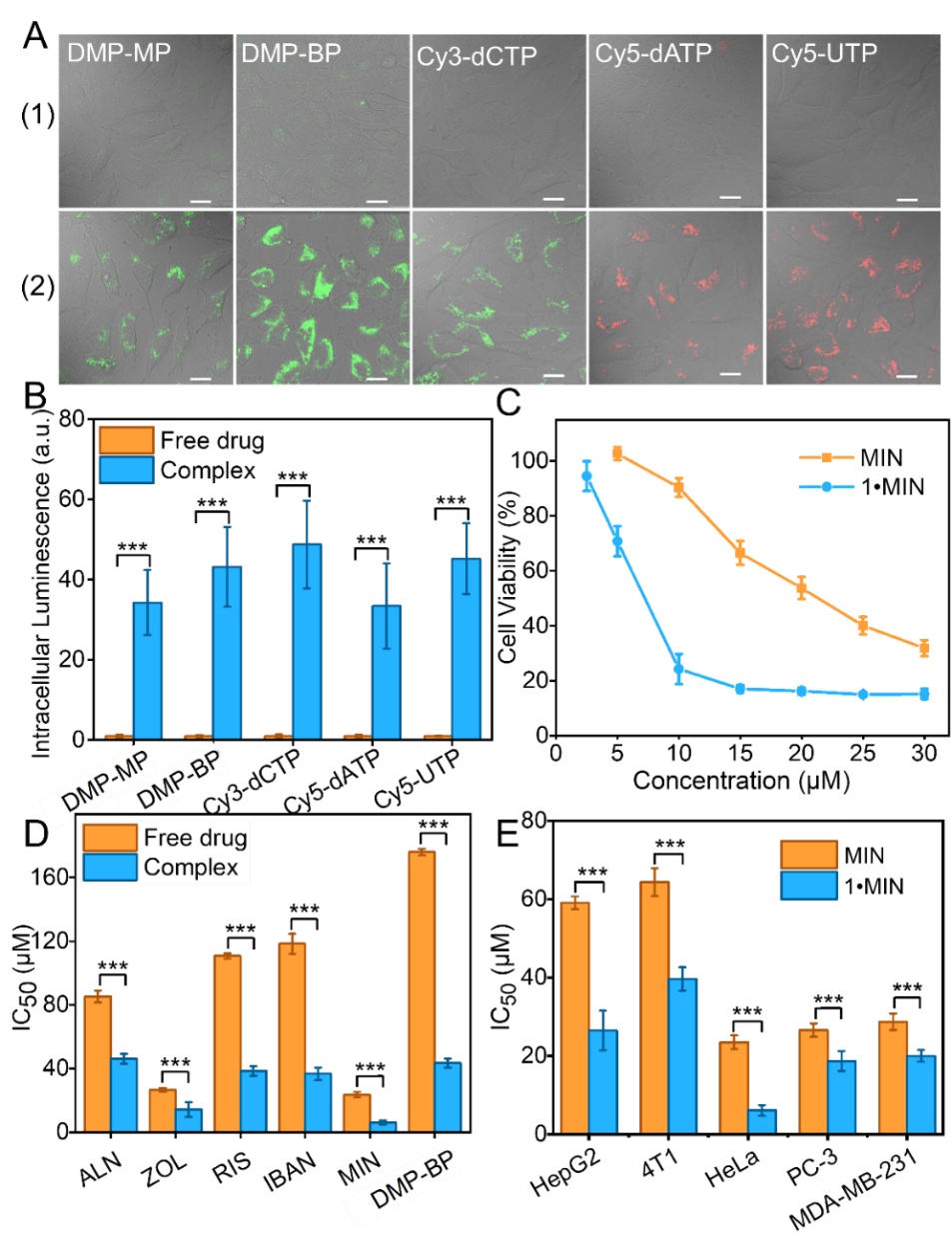 新澳门六合彩直播