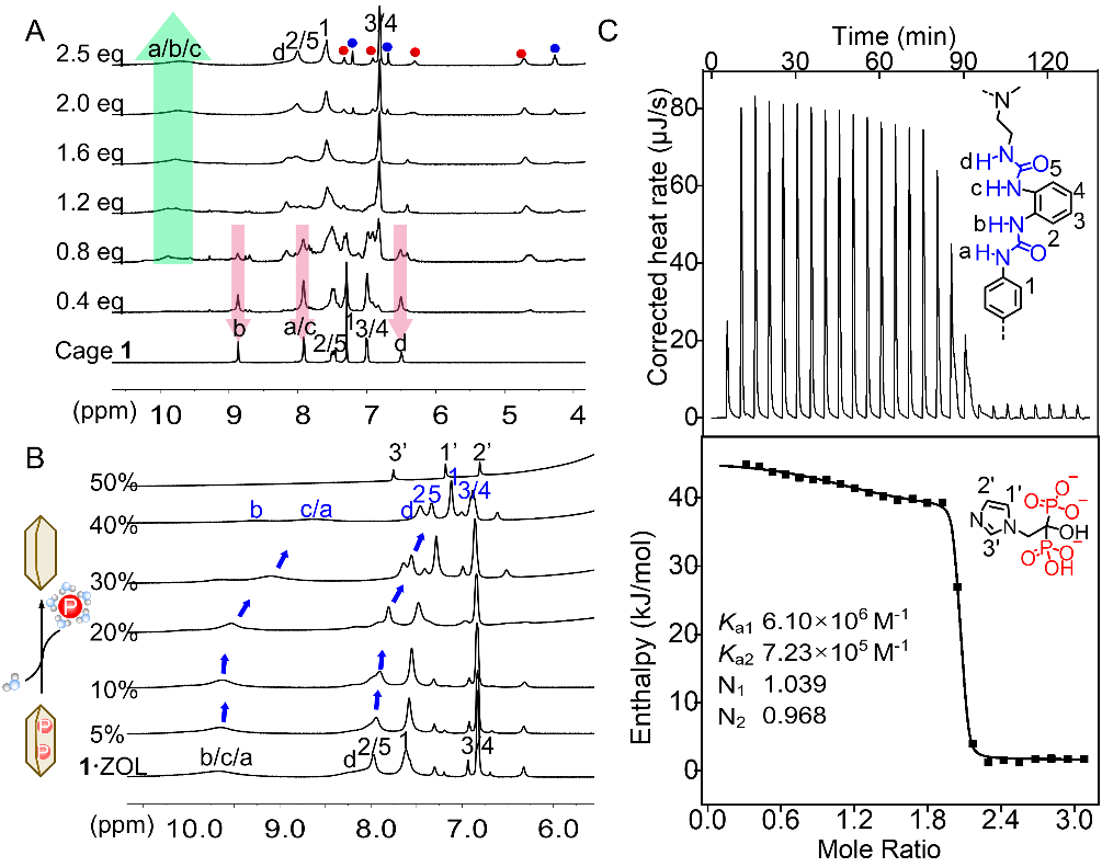 新澳门六合彩直播