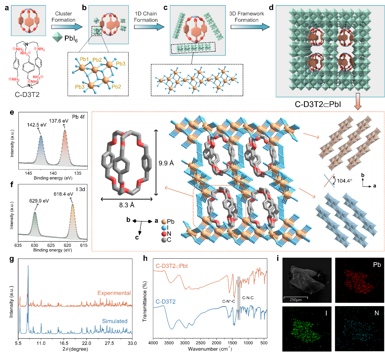 新澳门六合彩直播