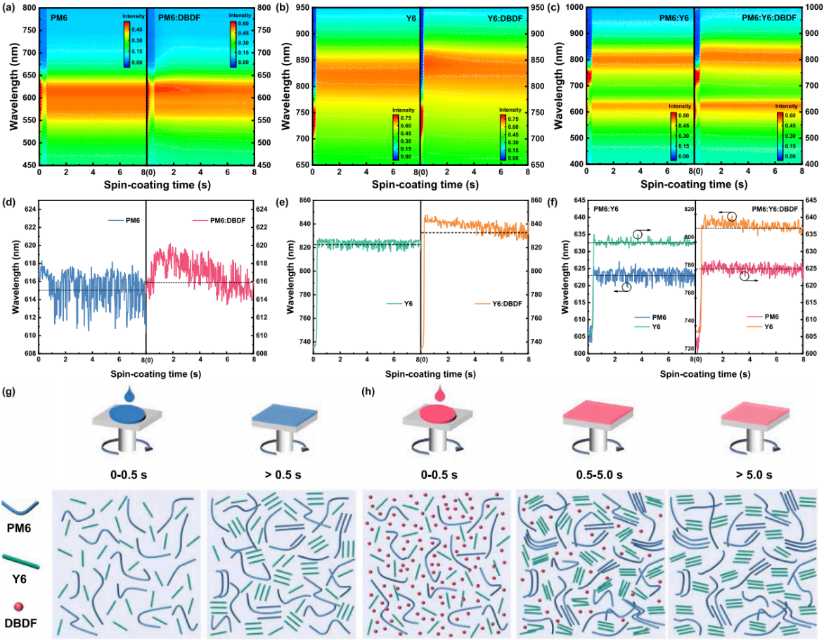 新澳门六合彩直播