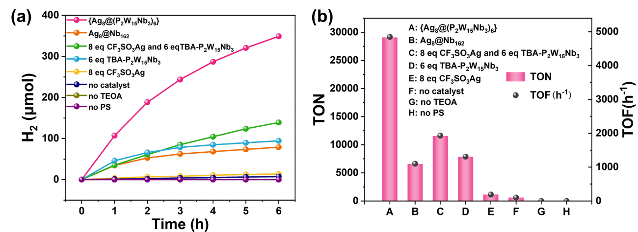 新澳门六合彩直播