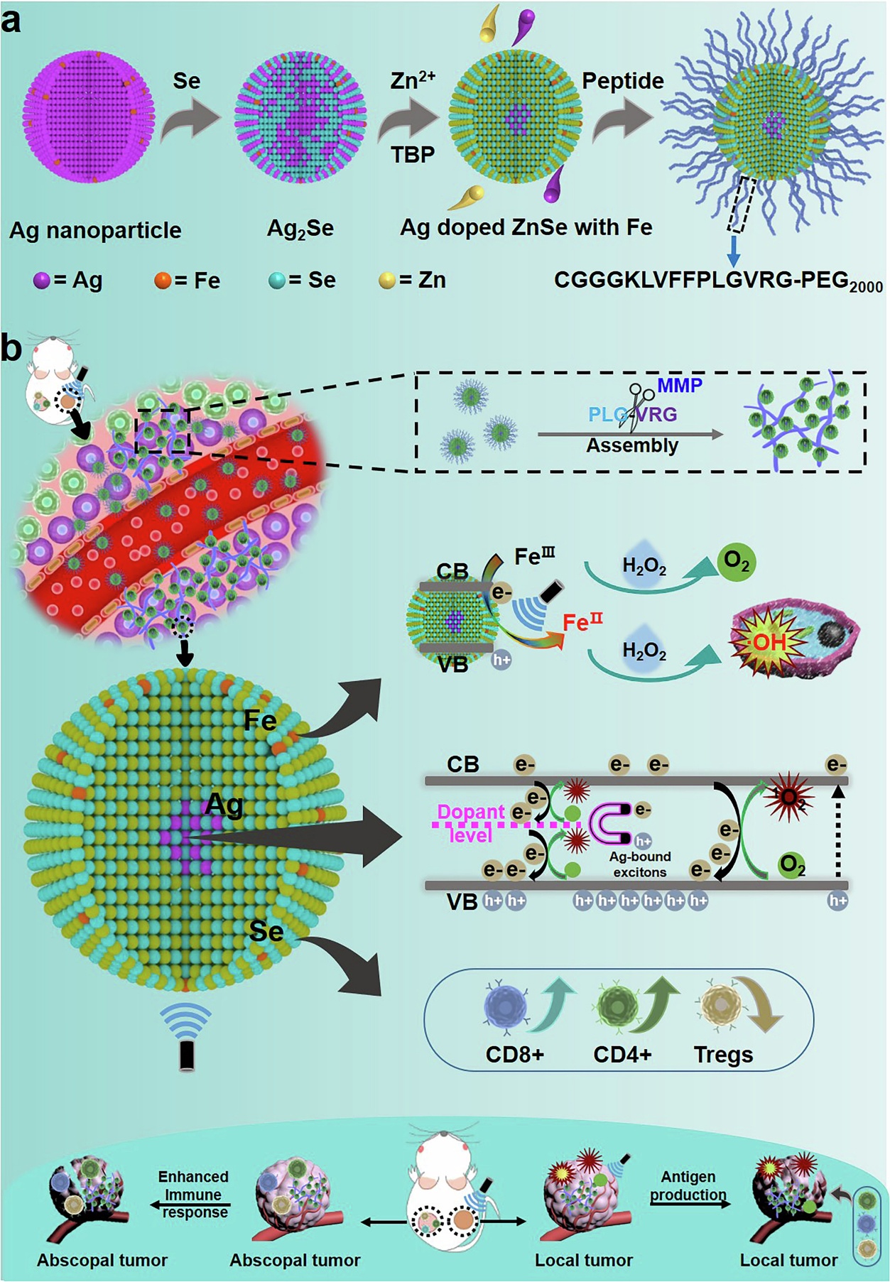 新澳门六合彩直播