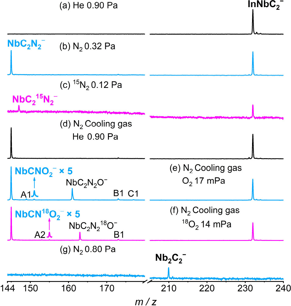 新澳门六合彩直播