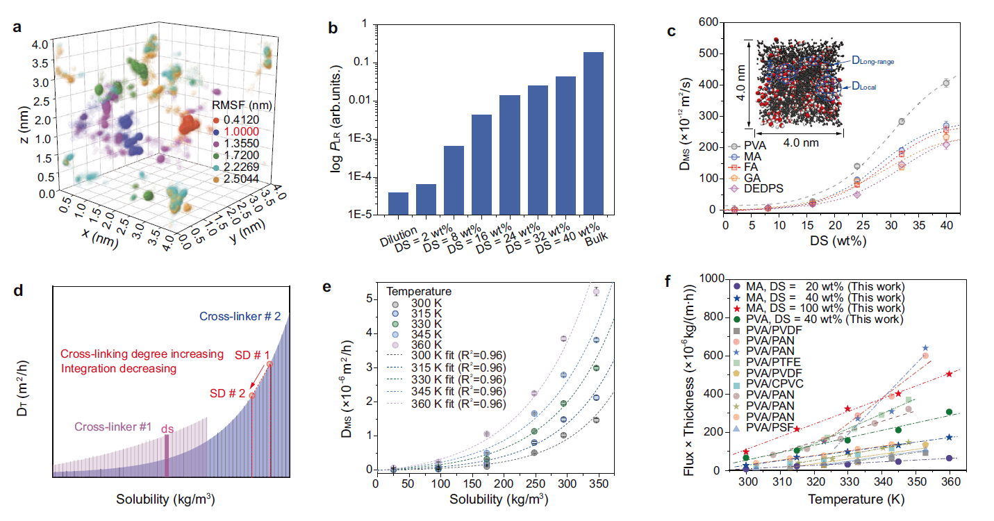 新澳门六合彩直播
