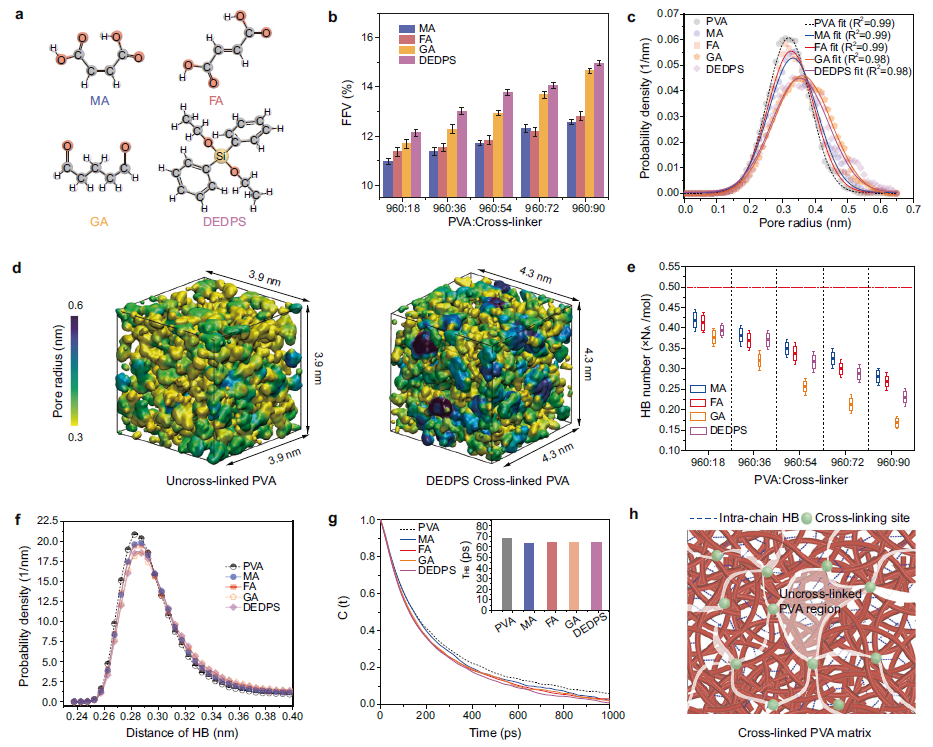 新澳门六合彩直播