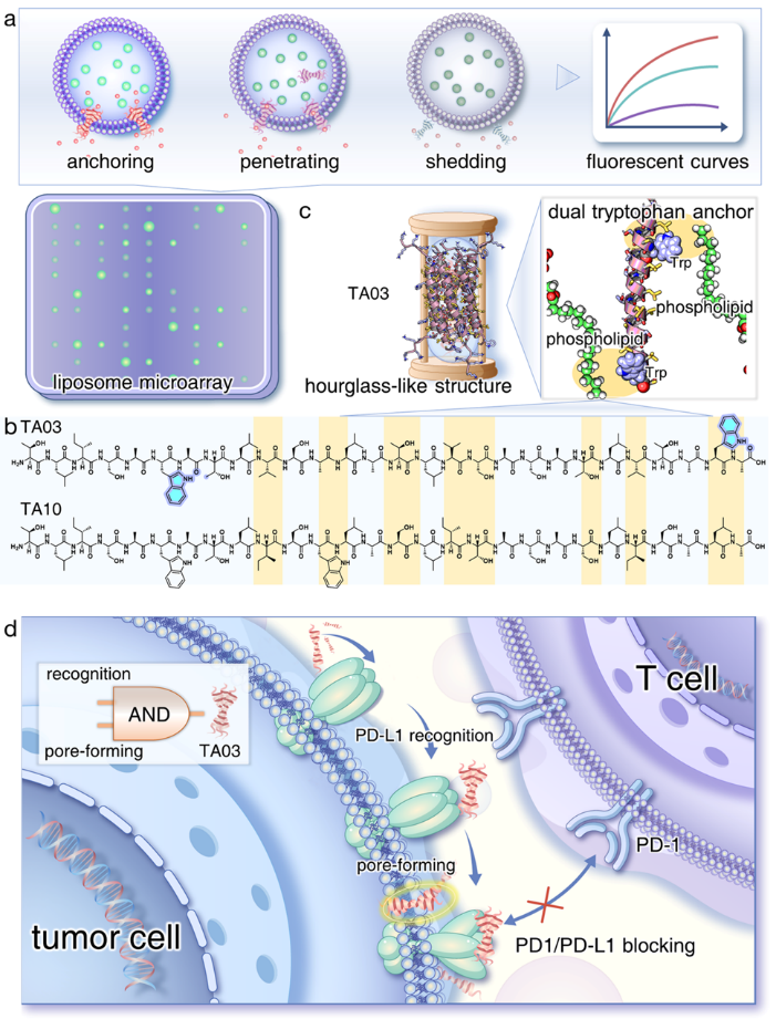 新澳门六合彩直播