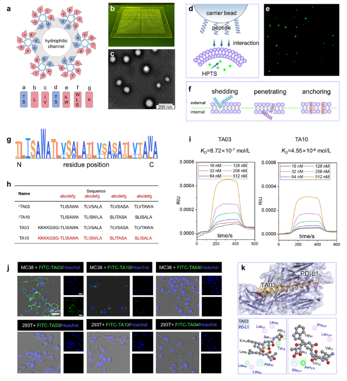 新澳门六合彩直播