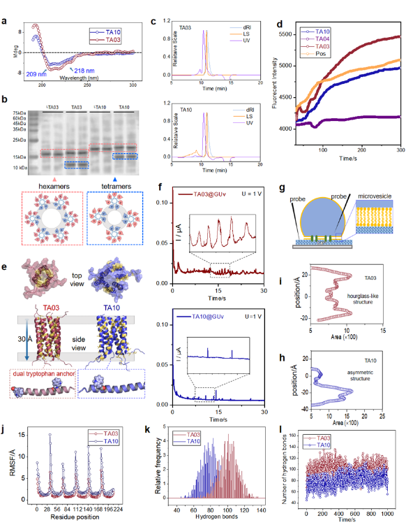 新澳门六合彩直播