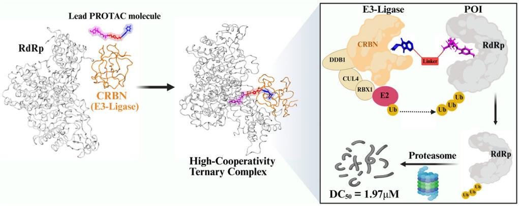 新澳门六合彩直播
