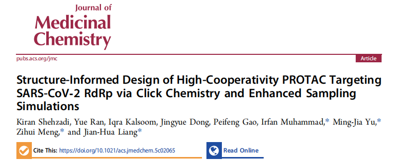 新澳门六合彩直播