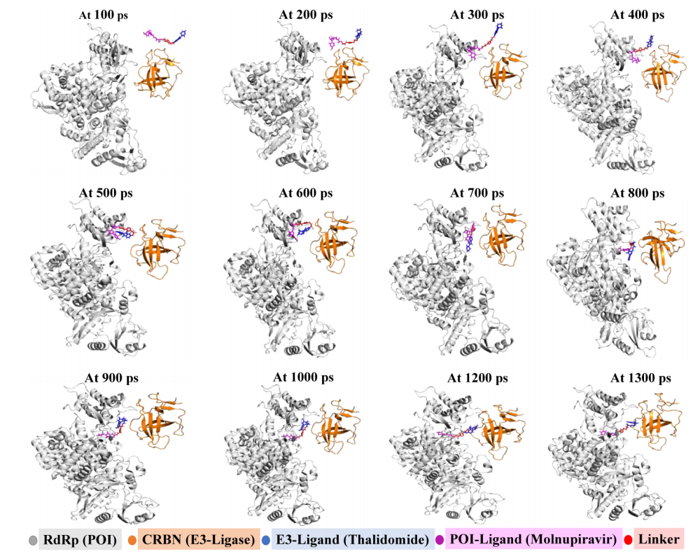 新澳门六合彩直播