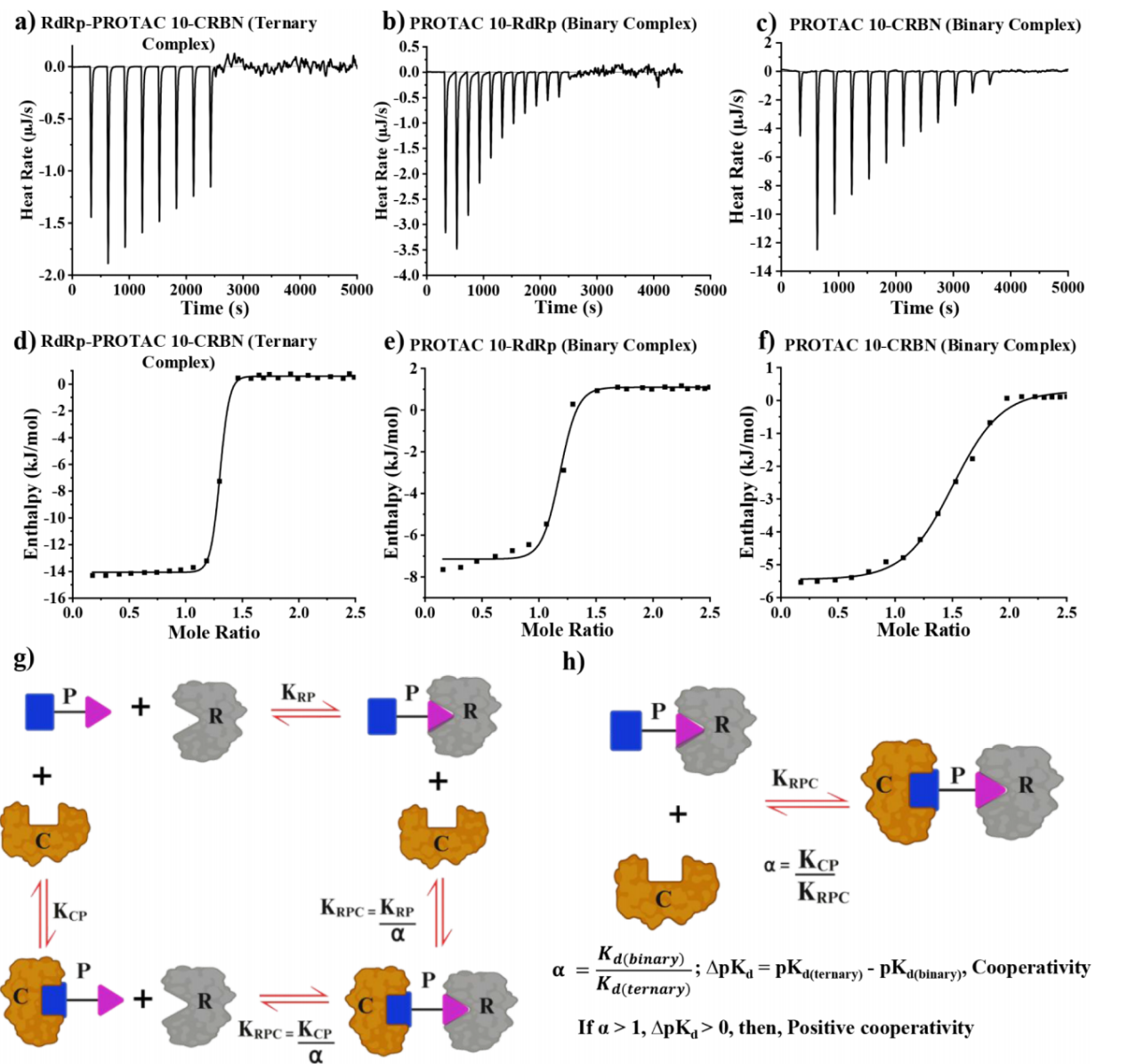 新澳门六合彩直播