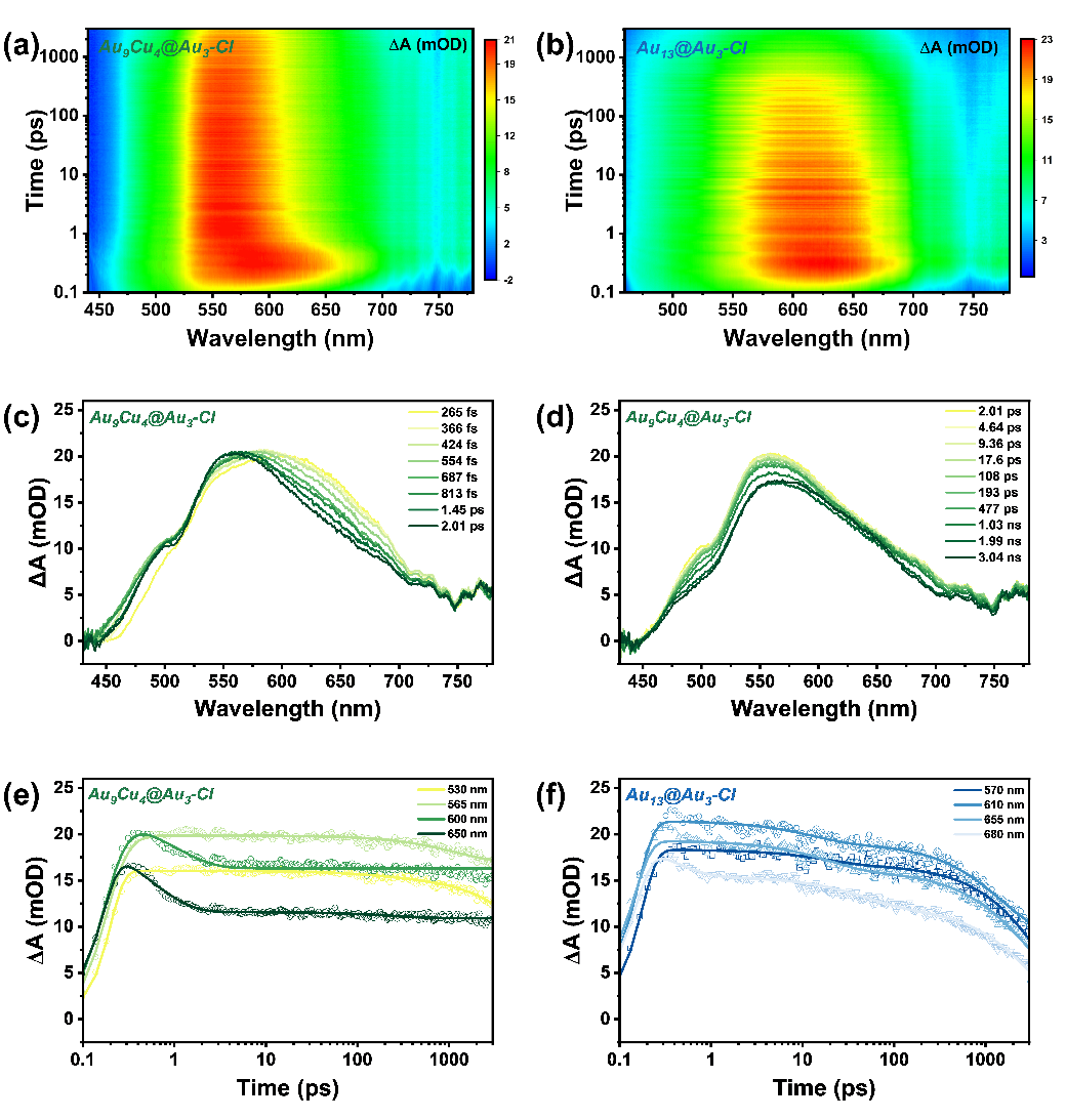 新澳门六合彩直播