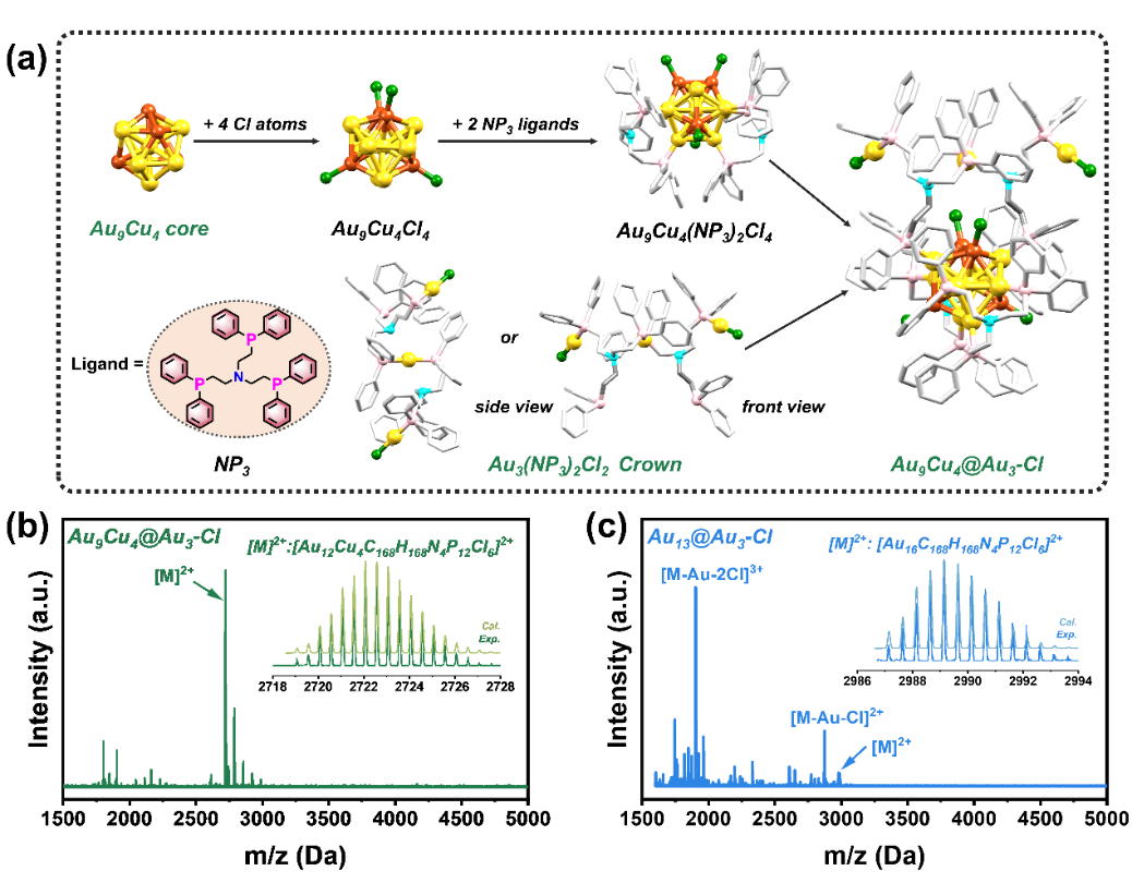 新澳门六合彩直播