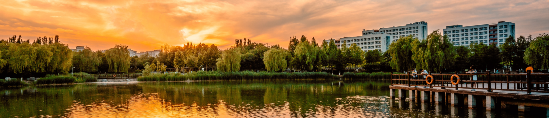 新澳门六合彩直播